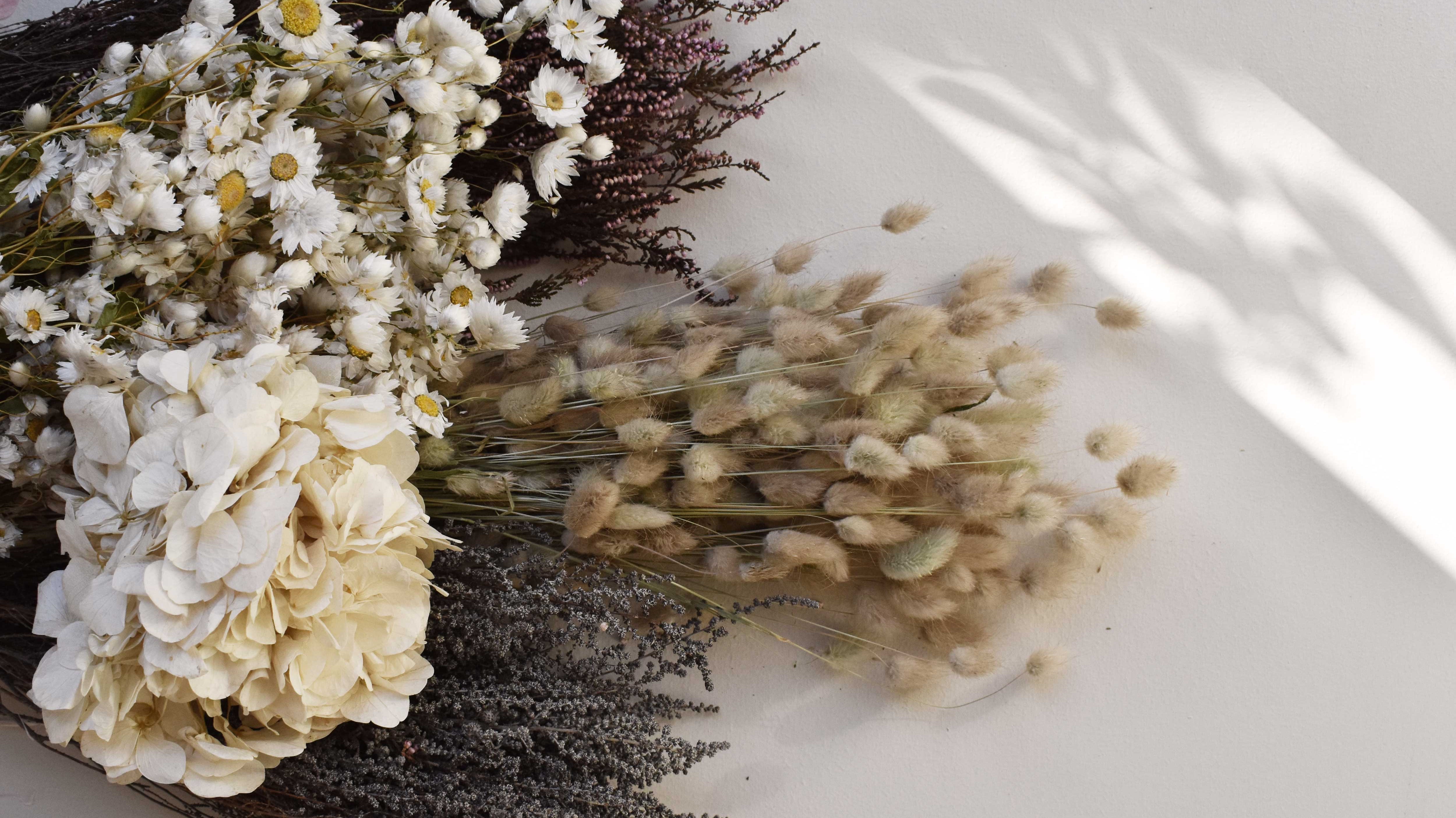 Fleurs séchées - les Mignonneries