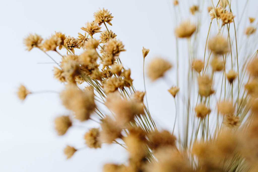 Nappes et Chemins de table